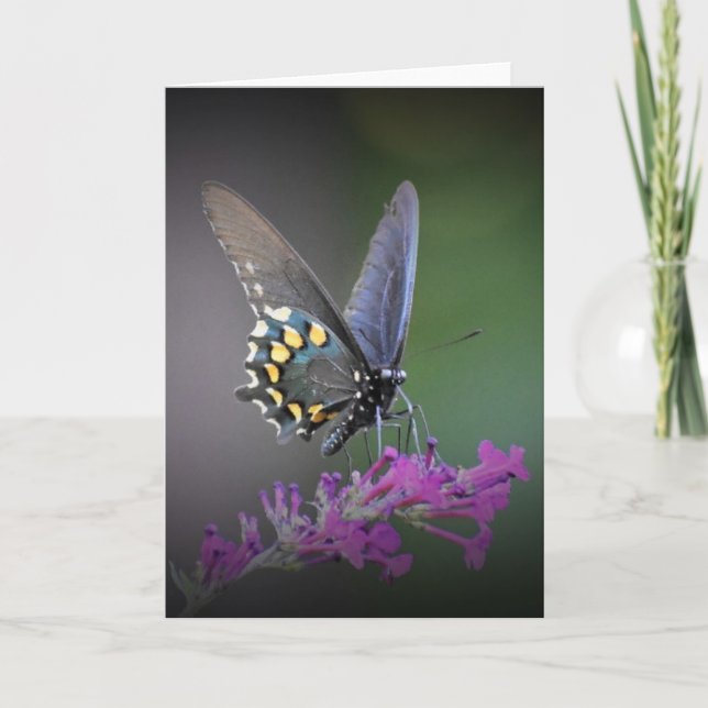 Mariposa, tarjeta (Anverso)