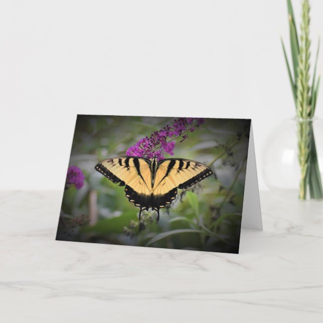 Mariposa, tarjeta (Anverso)
