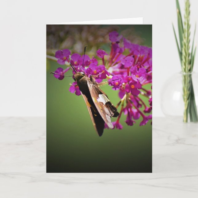 Mariposa, tarjeta (Anverso)