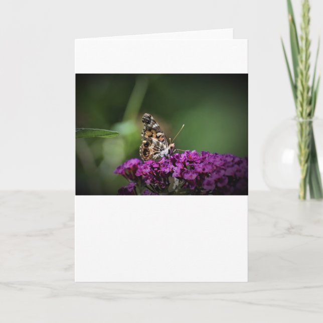 Mariposa, tarjeta (Anverso)