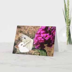 Mariposa. Tarjeta de felicitación.