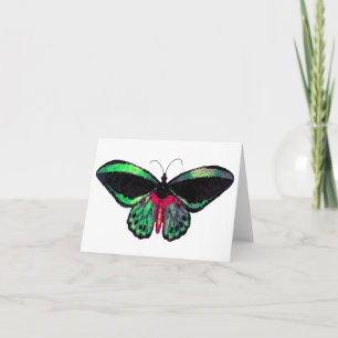 Mariposa ~ Tarjeta / Invitaciones