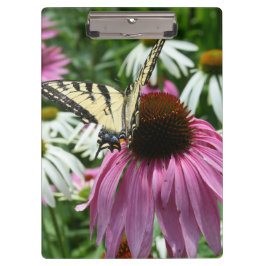 Mariposa Trasera De Tigre En El Portapapeles De Fl