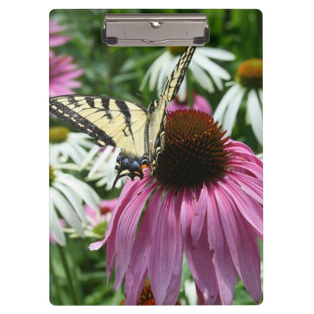 Mariposa Trasera De Tigre En El Portapapeles De Fl (Anverso)