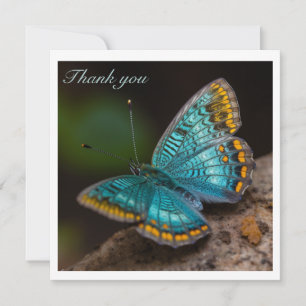 Mariposa Tropical Azul Turquesa y Dorado Gracias P