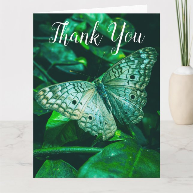Mariposa verde esmeralda - Gran tarjeta de agradec (Anverso)