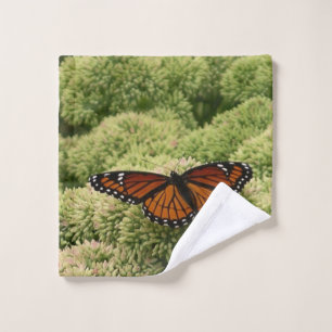 Mariposa Virrey Fotografía De Naturaleza Hermosa