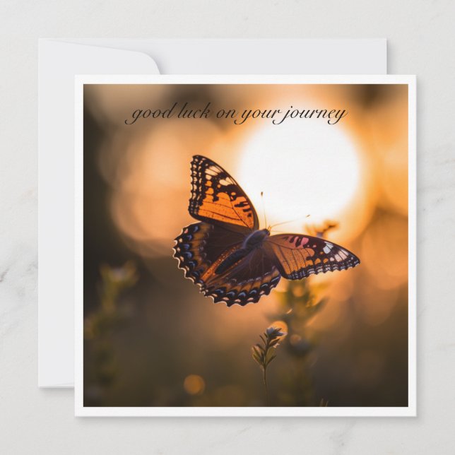 Mariposa volando hacia la puesta de sol, personali (Anverso)