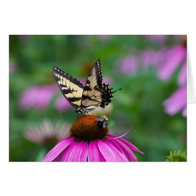 Mariposa y abeja (Anverso (Horizontal))