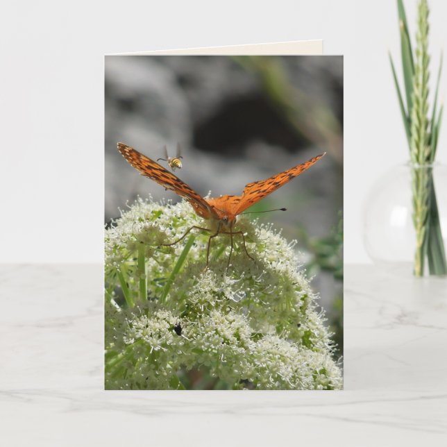 Mariposa y abeja, tarjeta de saludo en blanco (Anverso)