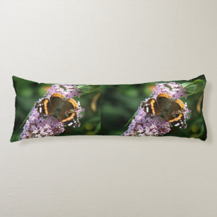 Mariposa y almohada corporal del Almirante Rojo