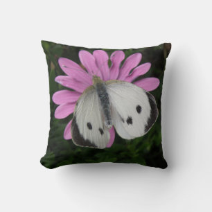 Mariposa y almohada rosa