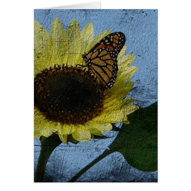 Mariposa y girasol (Frente)