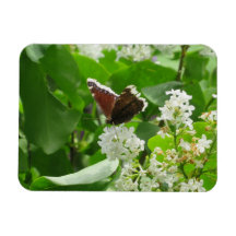 Mariposa y imán Lilac de primavera