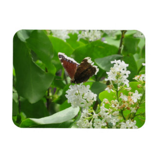 Mariposa y imán Lilac de primavera