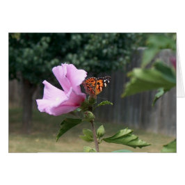 Mariposa y Rosa de Sharon