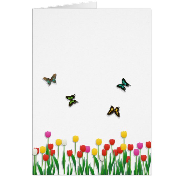 Mariposa y tulipanes (Frente)