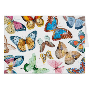 Mariposas