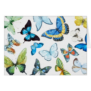 Mariposas