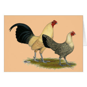 Mariposas antiguas de crema inglesa