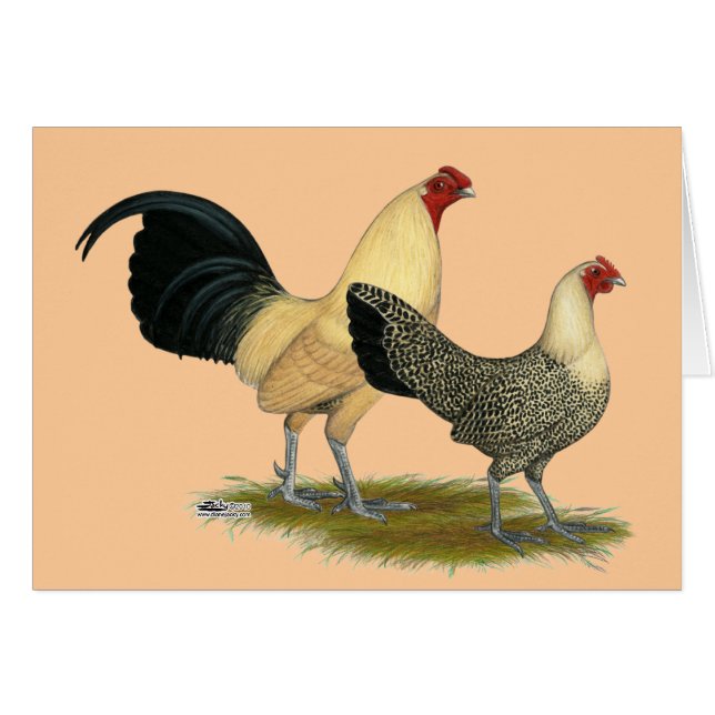 Mariposas antiguas de crema inglesa (Anverso (Horizontal))