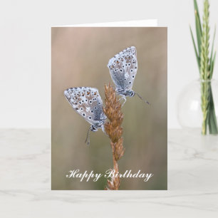 Mariposas azules de Adonis - Tarjeta de felicitaci