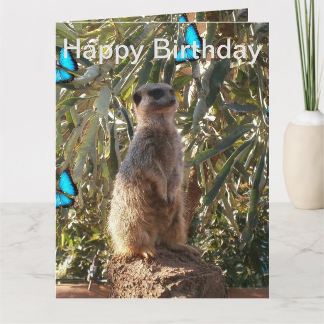 Mariposas Azules Meerkat, Tarjeta Jumbo de Cumplea (Anverso)