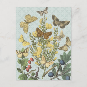 Mariposas botánicas vintage... postal