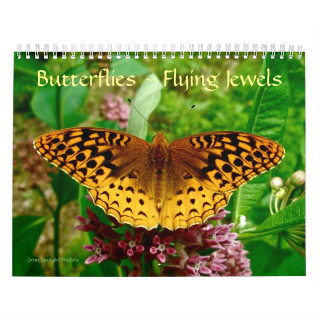 Mariposas - Calendario de joyas voladoras (Tapa)