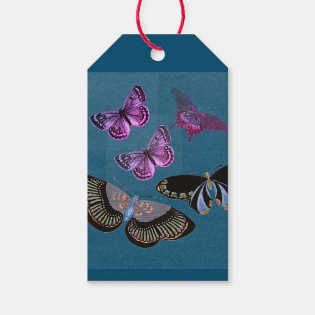 MARIPOSAS DE LA ETIQUETA DE REGALO EN AZUL Y ROSA (Anverso)