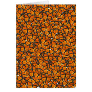 Mariposas de monarca