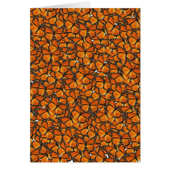 Mariposas de monarca (Frente)