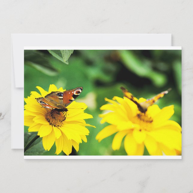 Mariposas de pavo real - Invitación (Anverso)