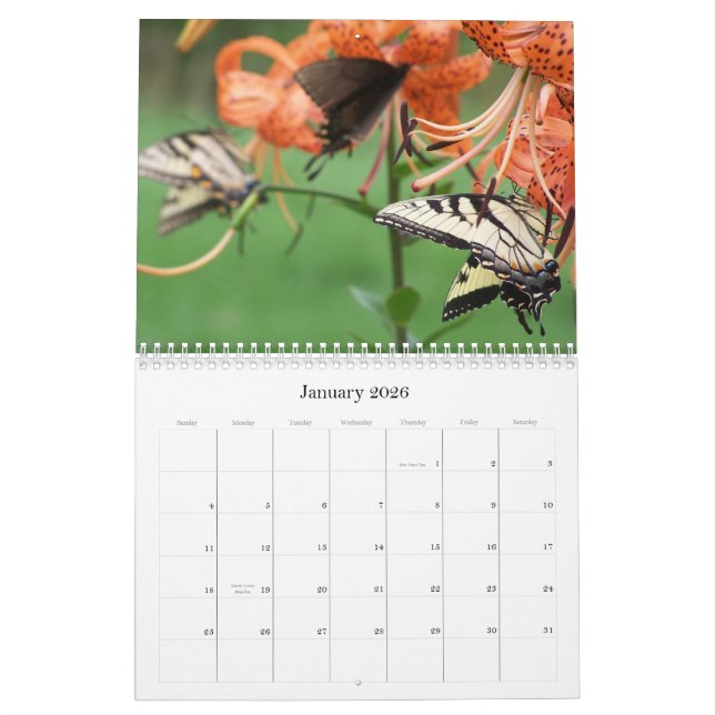 Mariposas de Swallowtail, calendario 2009 (Jan 2026)