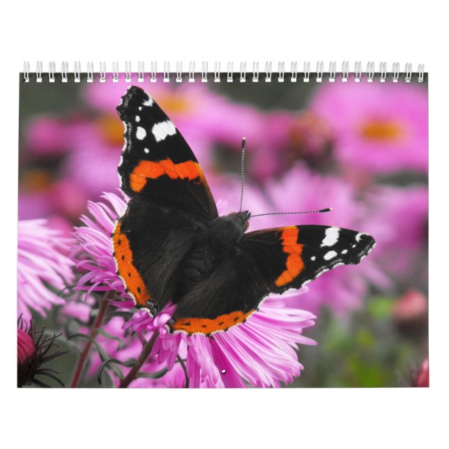 Mariposas del calendario del mundo 2020 (Tapa)