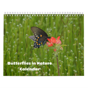 Mariposas en el calendario natural