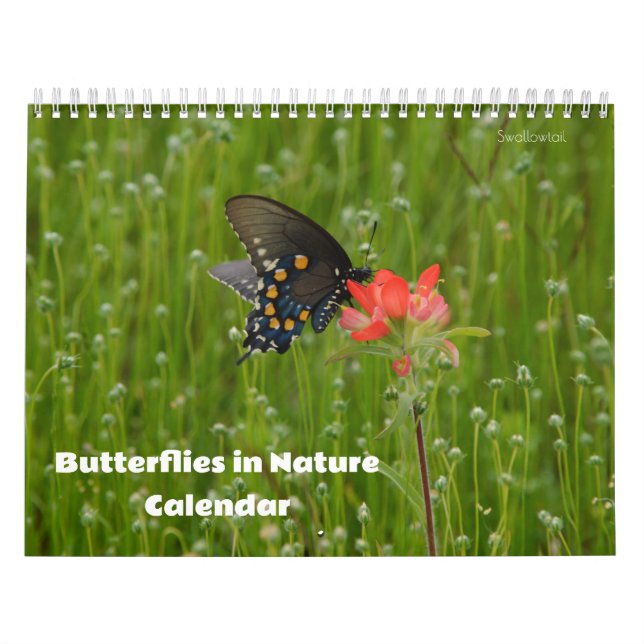 Mariposas en el calendario natural (Tapa)