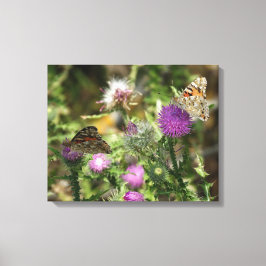 Mariposas en la foto foto de una sola impresión