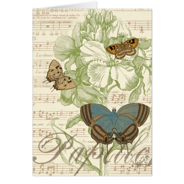 Mariposas en la música de hojas con diseño floral (Frente)
