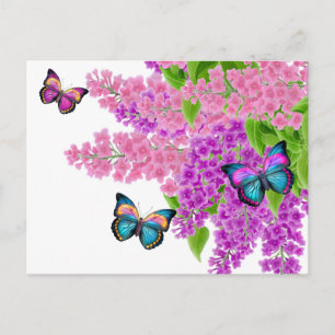 Mariposas en la postal de Lilacs