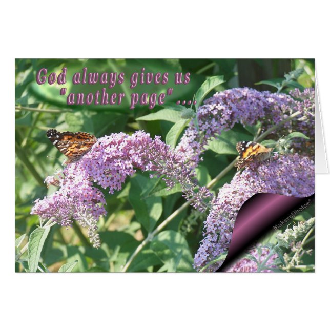 Mariposas en Lila-página-personalizar (Anverso (Horizontal))