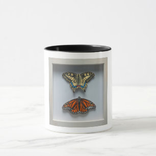 Mariposas "en taza de la entomología de un marco"