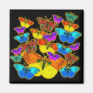 ¡Mariposas! ¡Mariposas! Imán