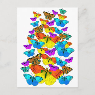 ¡Mariposas! ¡Mariposas! Postal