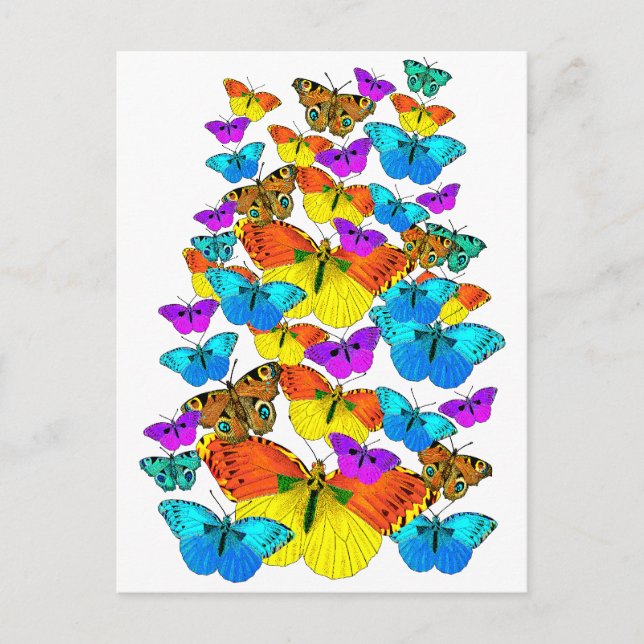 ¡Mariposas! ¡Mariposas! Postal (Anverso)