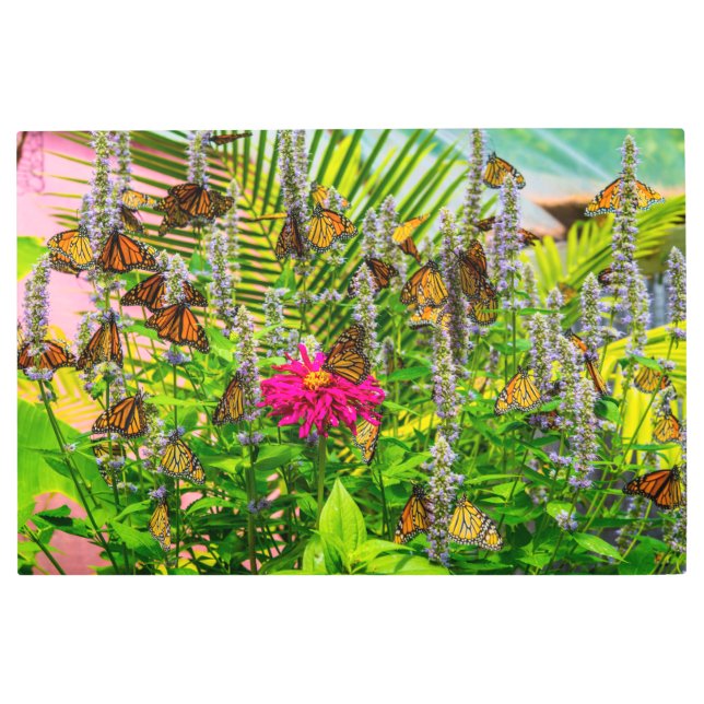 Mariposas monarcas 36 x 24 arte mural Metalizado (Anverso)
