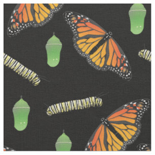 Mariposas monarcas Tela de orugas