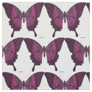 Mariposas Moradas Tela de Mariposa
