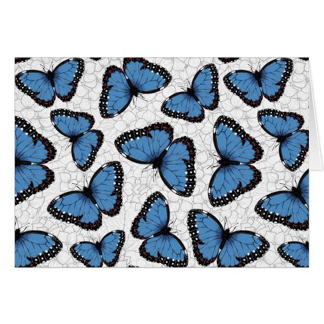 Mariposas morfo azules (Anverso (Horizontal))