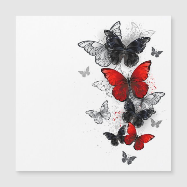 Mariposas Morfo Negras y Rojas Volando (Anverso)
